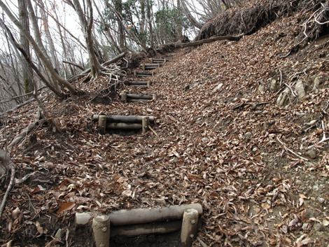20151116hike (254)